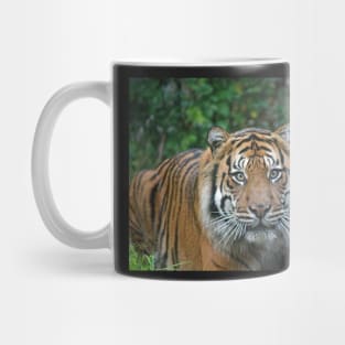 Sumatran Tiger Mug